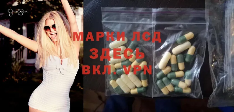 ЛСД экстази ecstasy  даркнет сайт  Камбарка 